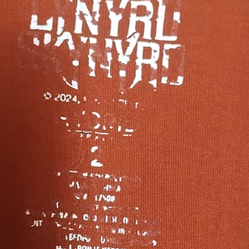 Lynyrd Skynyrd Rust Short Sleeve Graphic Tee - Picture 4 of 4